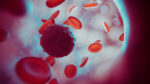 An images provides a close-up view of red blood cells.