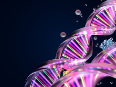 A DNA strand is shown in colors of purple and yellow.