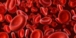 Dozens are red blood cells are seen close up.