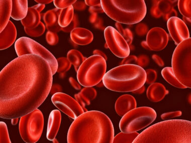 Dozens are red blood cells are seen close up.